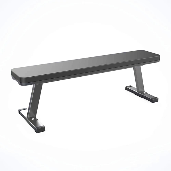 Flat Bench by Apollo Athletics