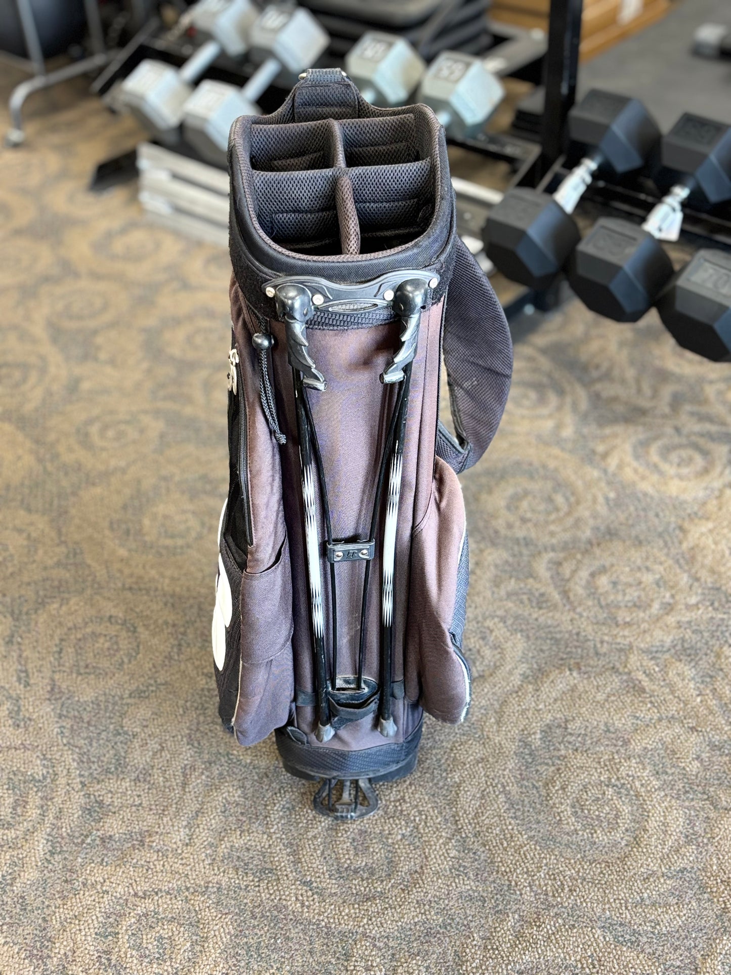 Bridgestone Golf standing bag(used)