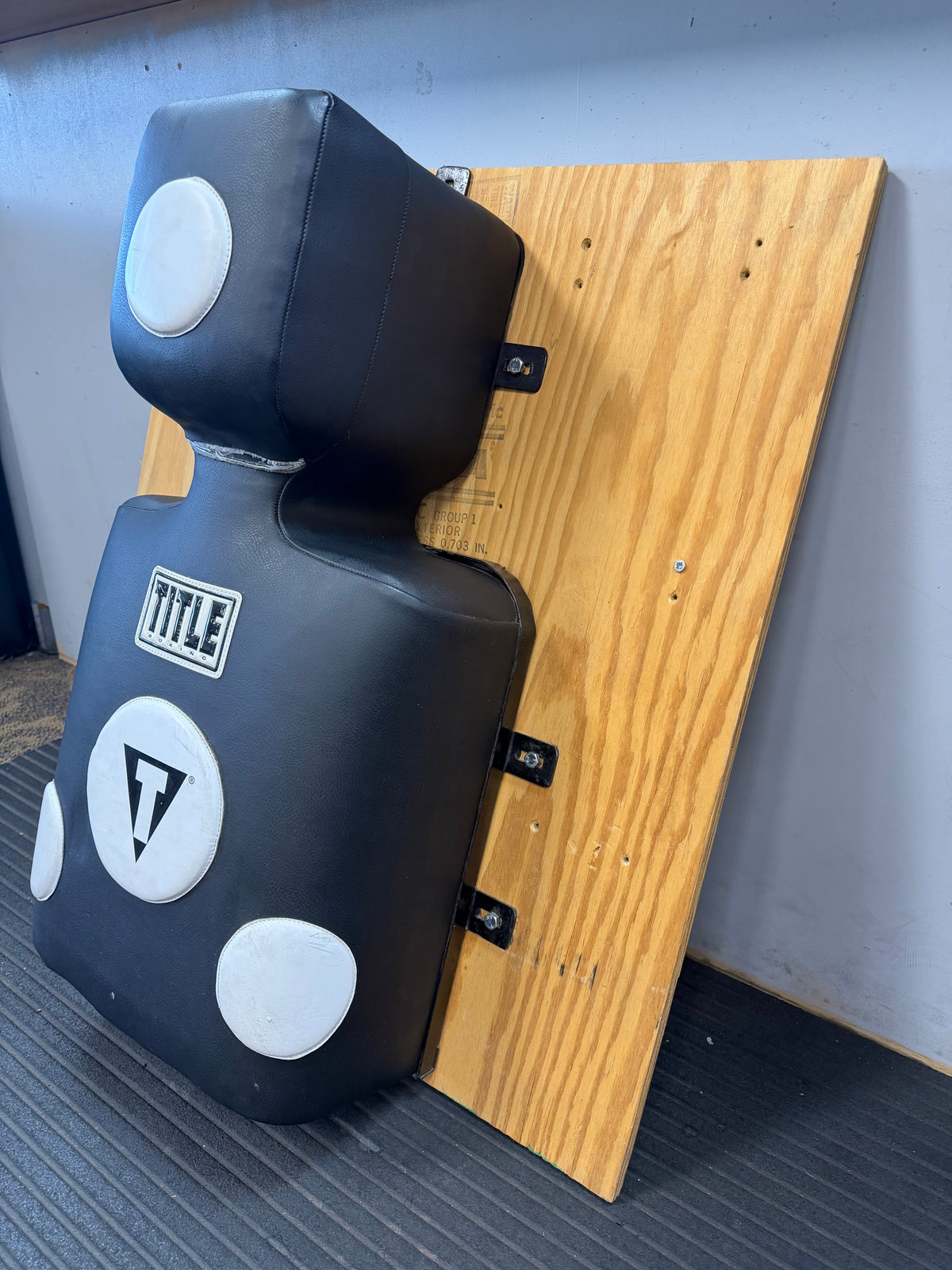 Title Boxing Wall Mount Training Bag (used)