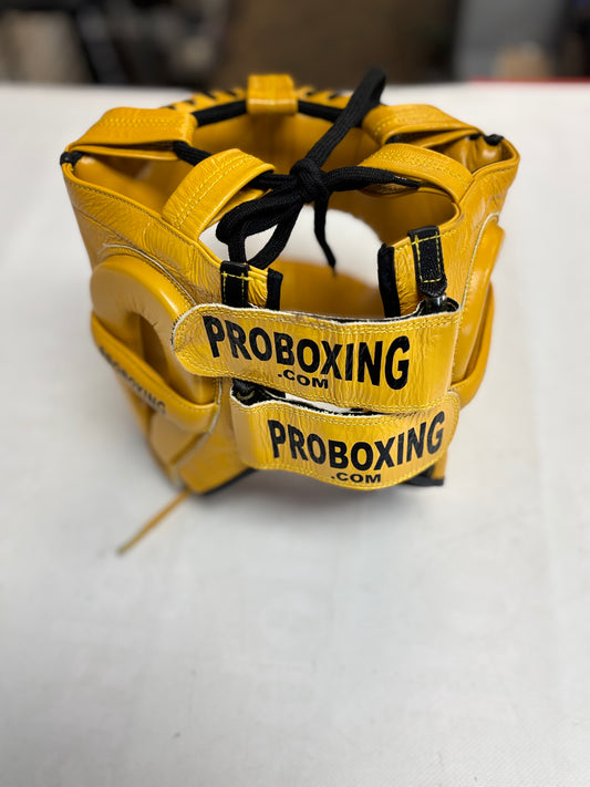 ProBoxing Professional Nosebar Headgear