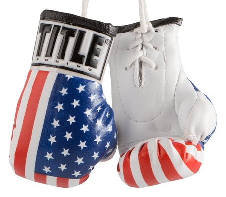 Title Boxing Mini Rear view mirror Gloves