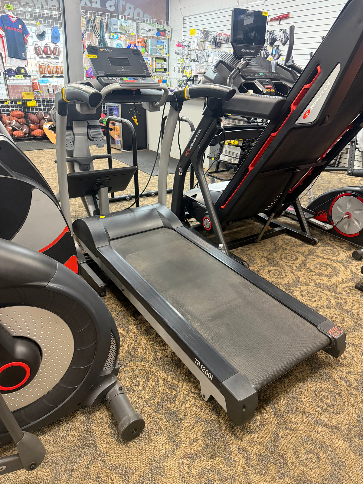 Lifespan RR1200i Folding Treadmill (used)