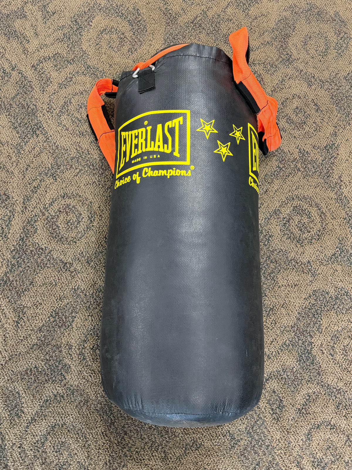 40 lb Everlast Leather Heavy Bag (used)