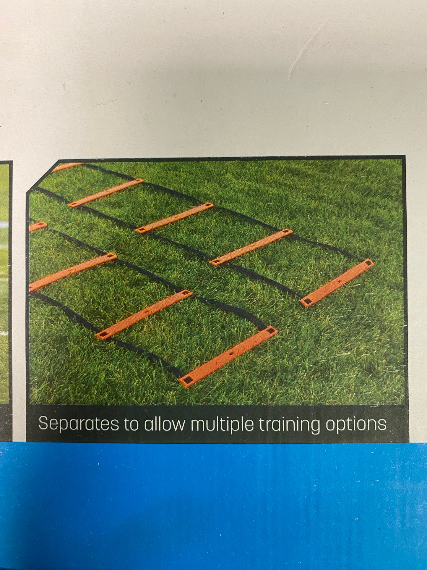 Champro Agility Training Ladder