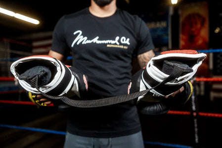 TITLE Boxing Glove Dry Devil - Glove Deoderizer