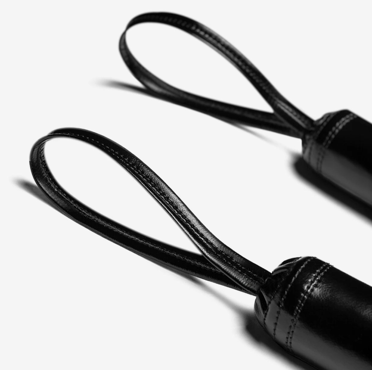 Hayabusa Training Sticks