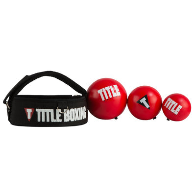 Title Boxing Reflex Balls