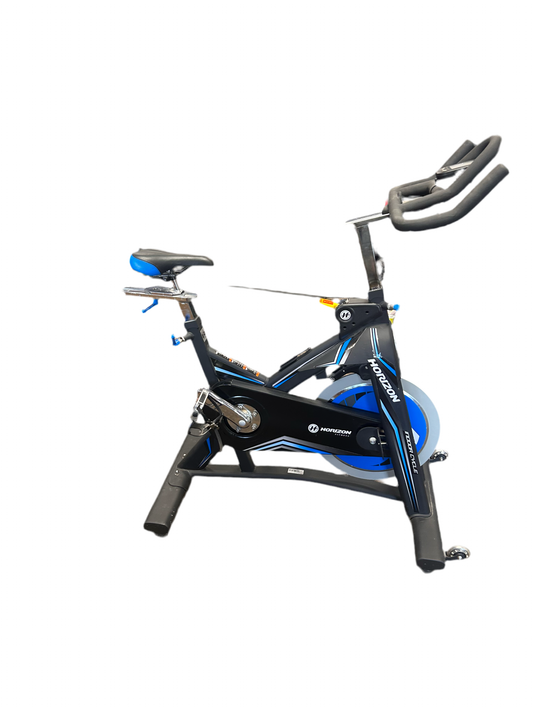 Horizon Fitness Indoor Bike