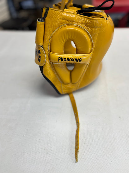 ProBoxing Professional Nosebar Headgear