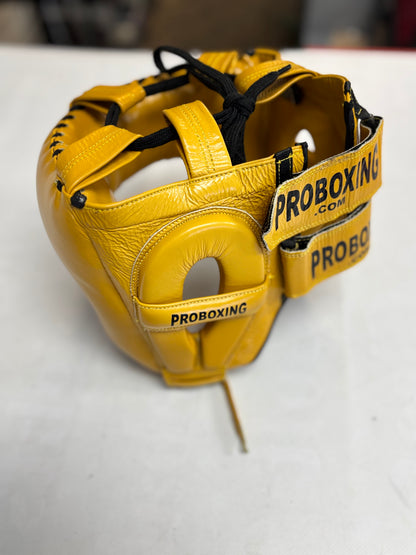 ProBoxing Professional Nosebar Headgear