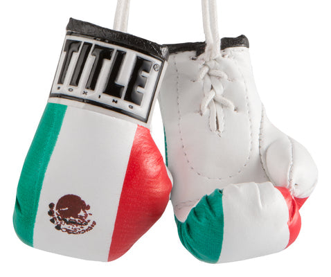Title Boxing Mini Rear view mirror Gloves