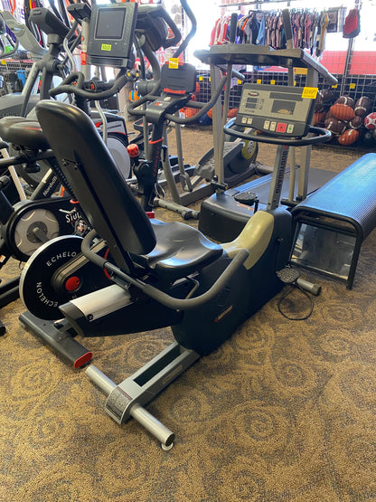 Bodyguard Recumbent Bike 