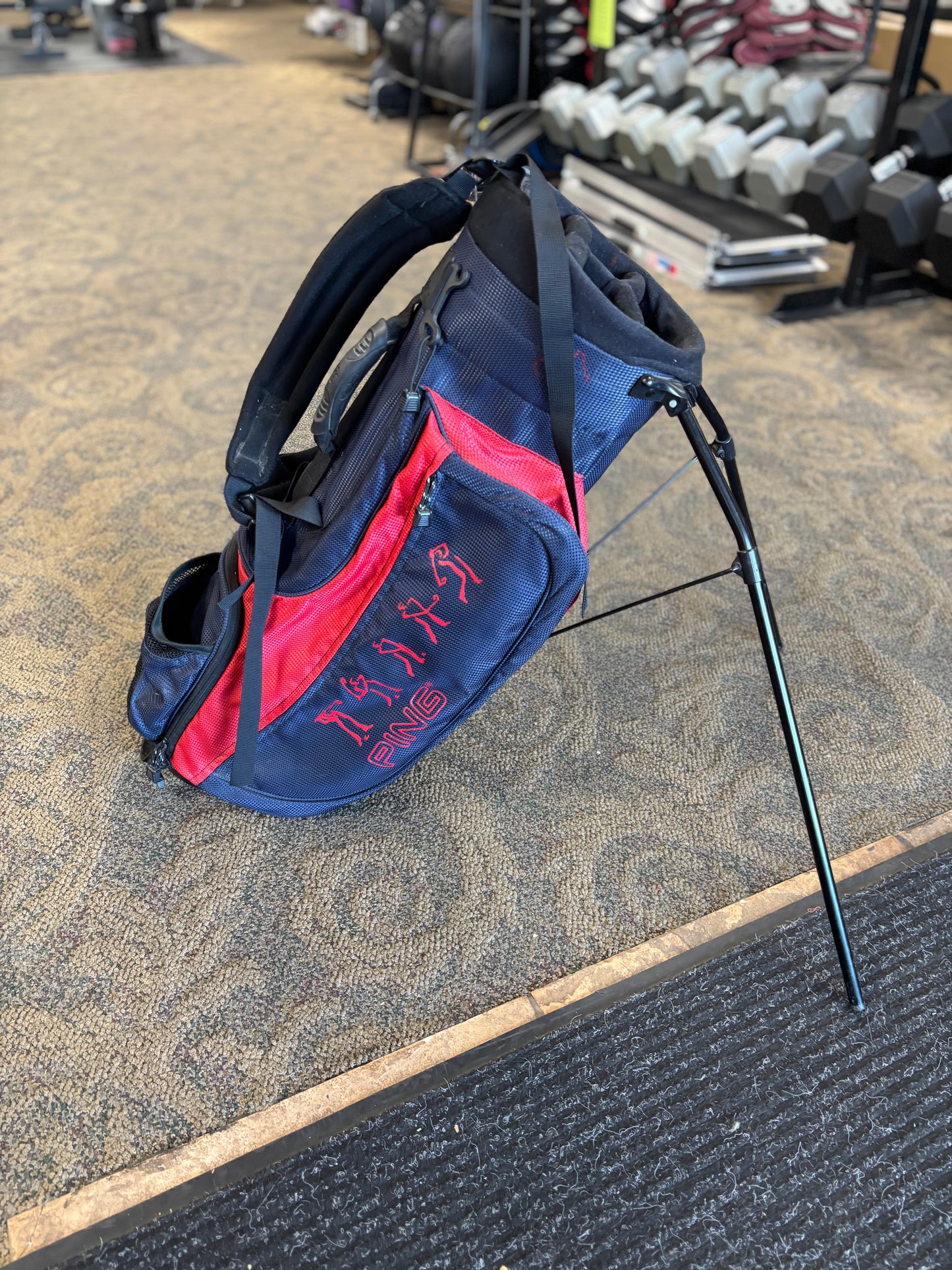 Ping Junior Golf Bag (used)