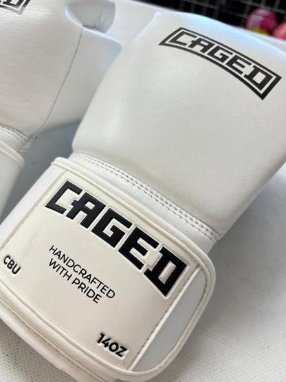 Caged Boxing Gloves - 14oz (used)