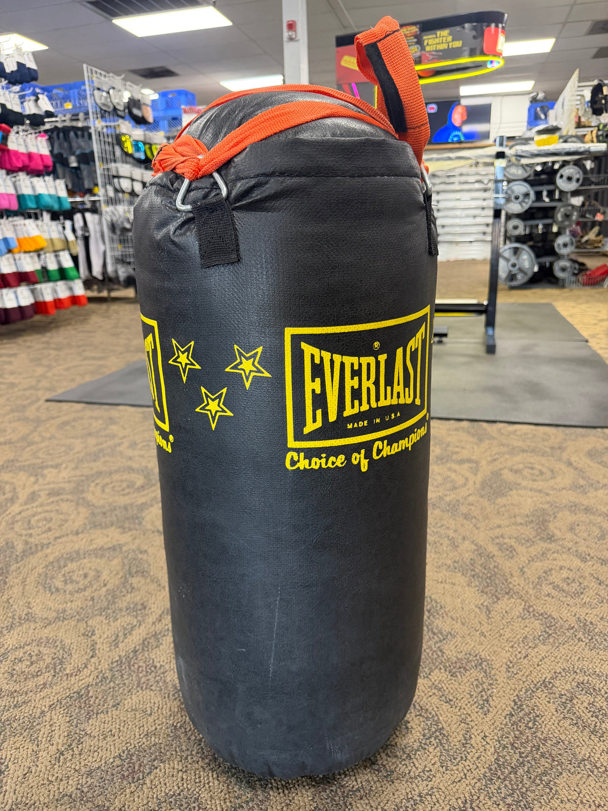 40 lb Everlast Leather Heavy Bag (used)