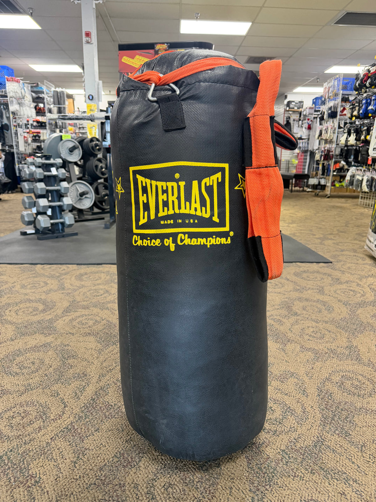40 lb Everlast Leather Heavy Bag (used)