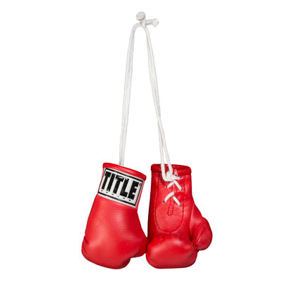 Title Boxing Mini Rear view mirror Gloves