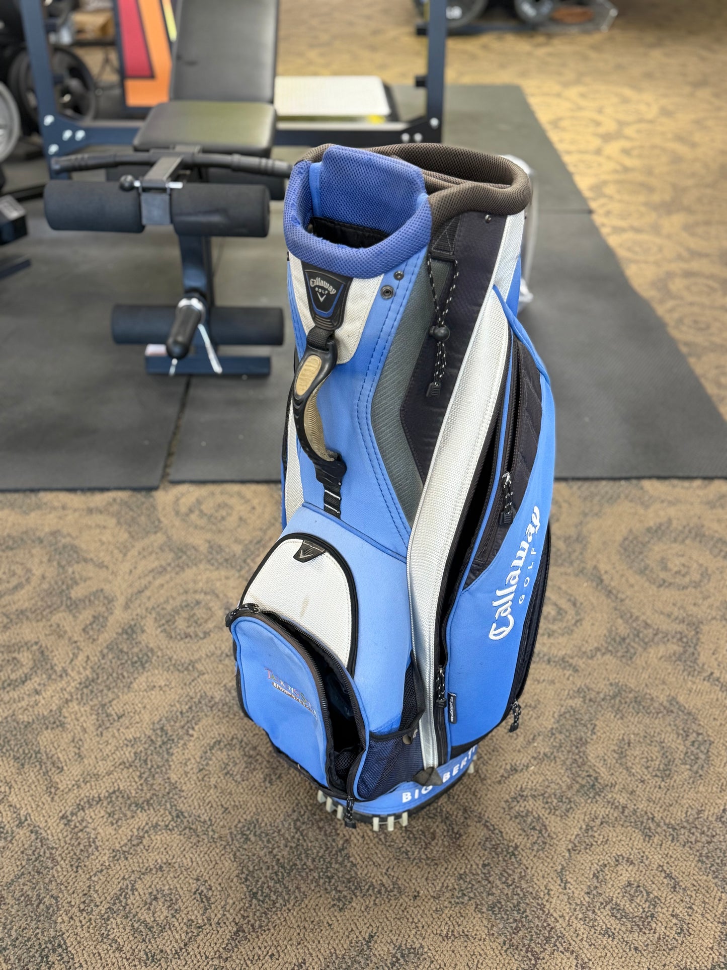 Callaway Big Bertha Golf Cart Bag (used)