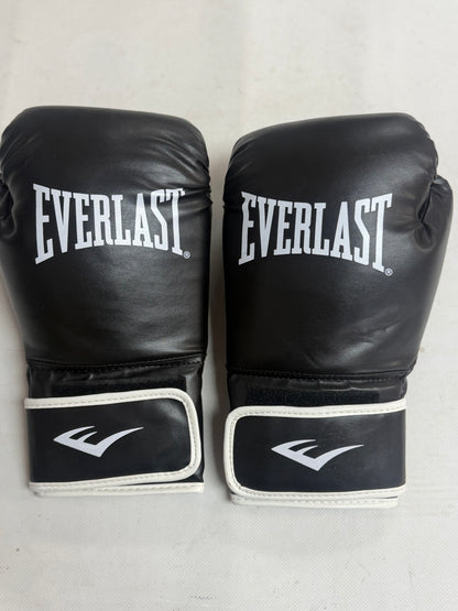 Everlast Core 2 Boxing Gloves Large (used)