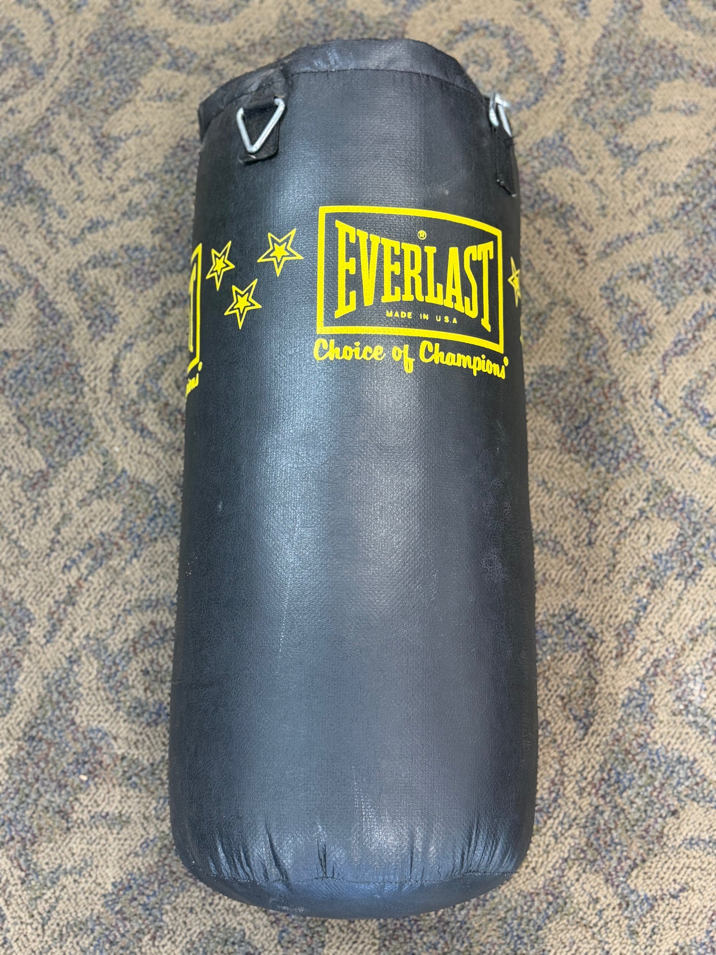 Everlast Punching Bag (40 lbs, used)