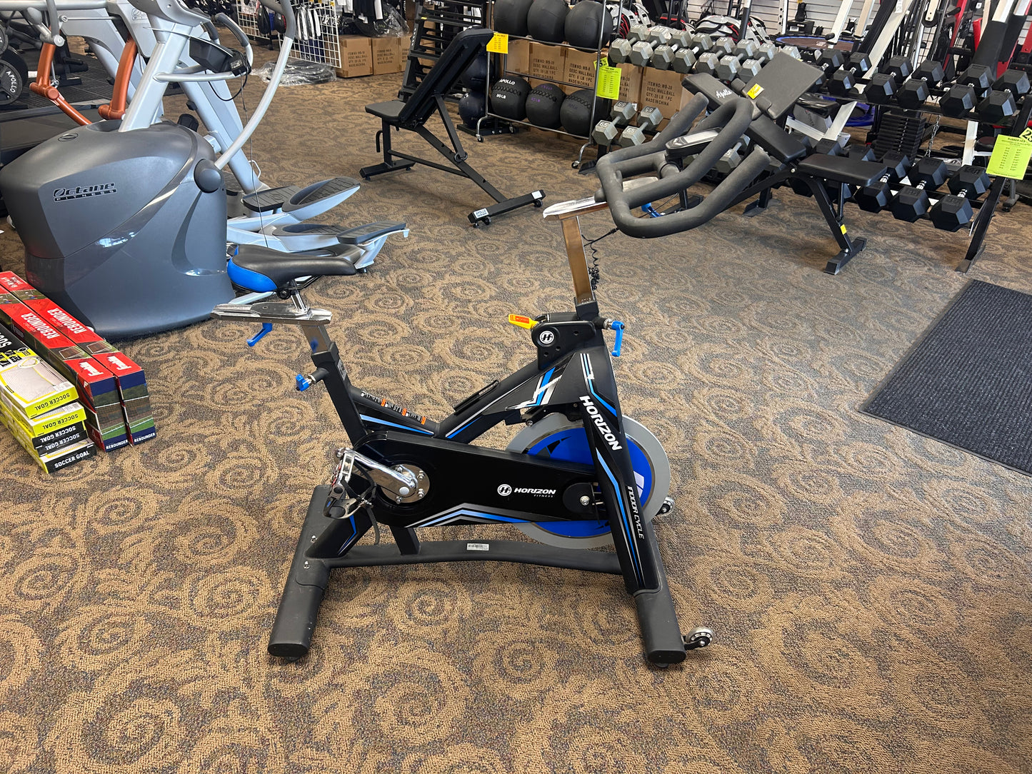 Horizon Fitness Indoor Bike