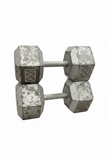 100 lb dumbbell cast iron dumbbell pair (used)