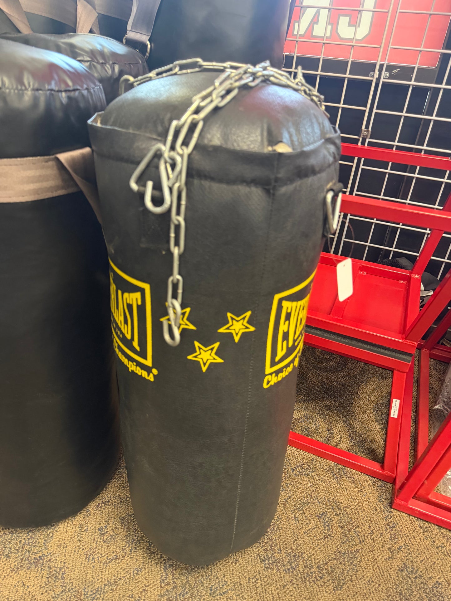 Everlast Punching Bag (40 lbs, used)