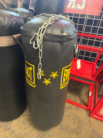 Everlast Punching Bag (40 lbs, used)